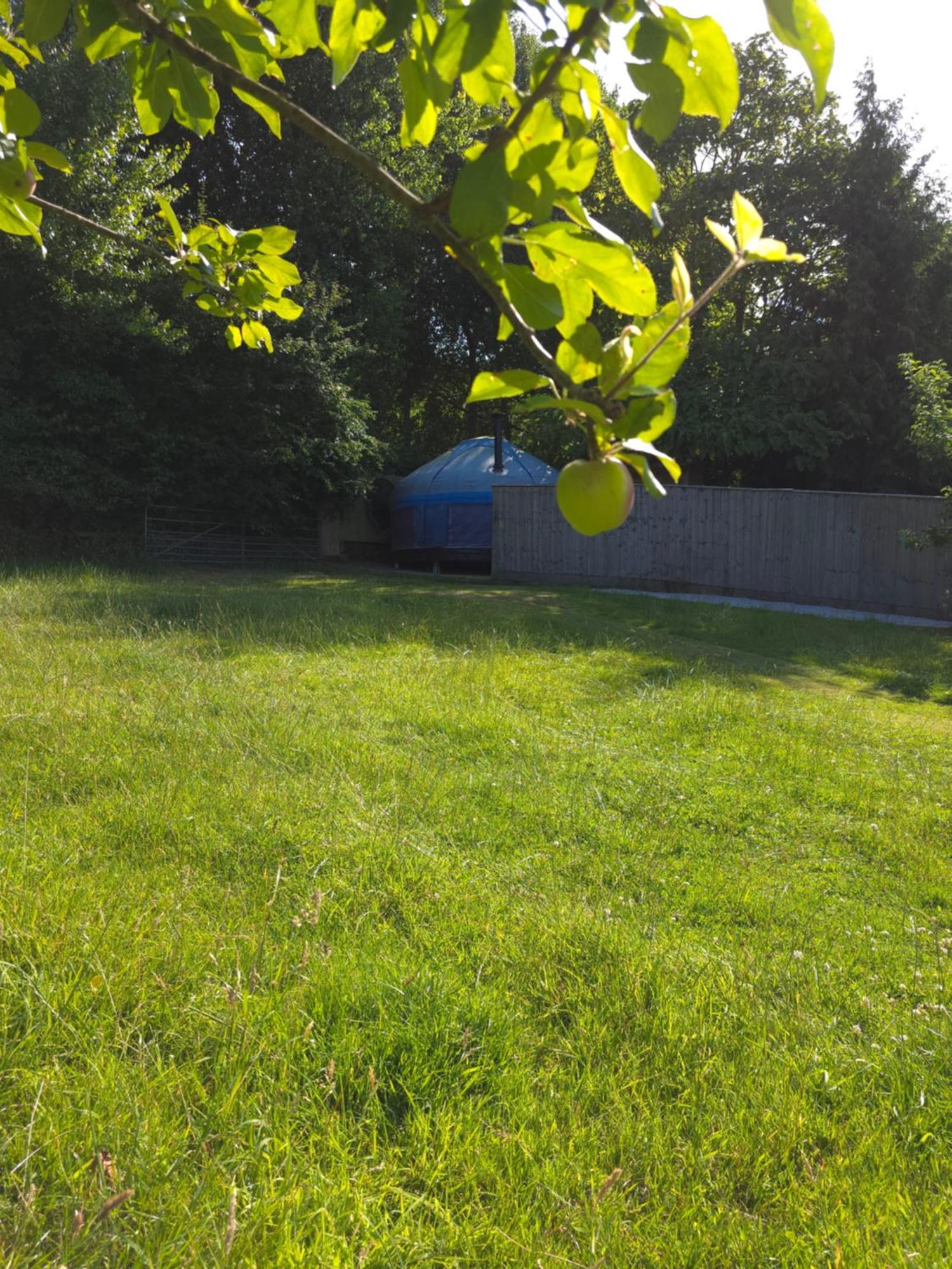 Orchard View Yurt & Hot Tub Somerset Weston-super-Mare Exterior photo